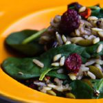 Wild Rice & Spinach Salad: Cranberry’s Vibrant Twist